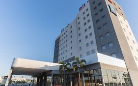 ibis Lorena